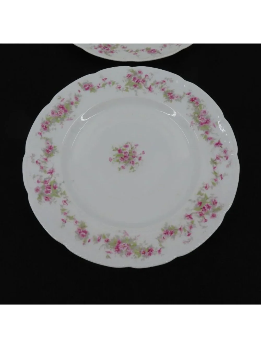 VTG Bassett Limoges 2 Plates 9.6in Pink Floral Flower Swag Chic Austria Chic